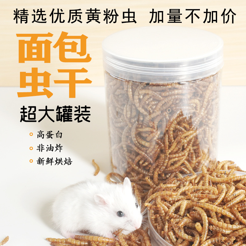 High-Protein Snacks Hamster Fo - Food Snacks High In Protein recension och pris